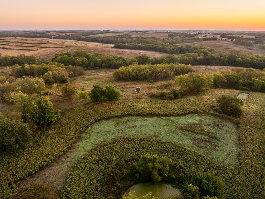 Listing Photo MLS #HMS2578695