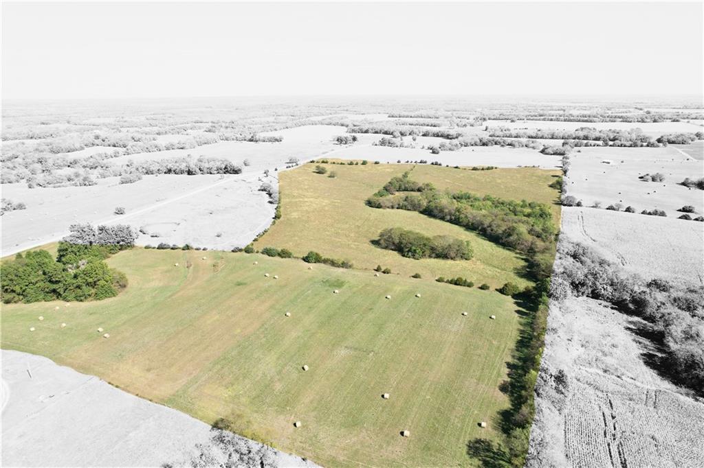 Listing Photo MLS #HMS2579809