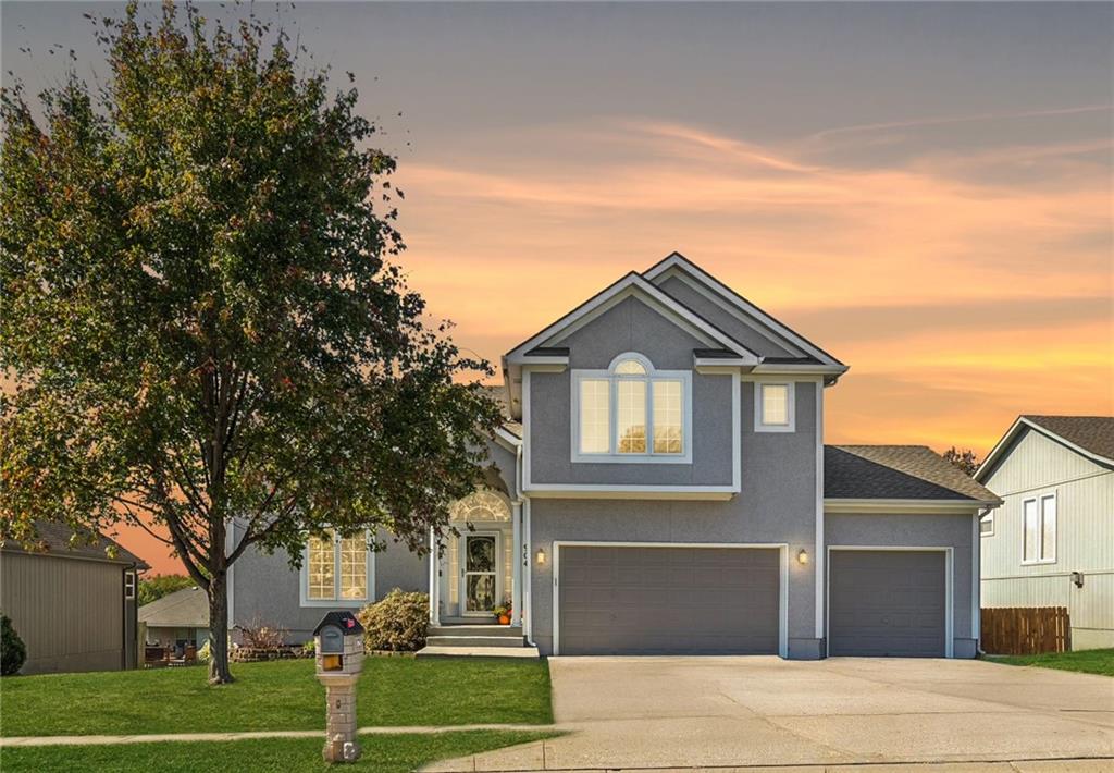 Listing Photo MLS #HMS2581011