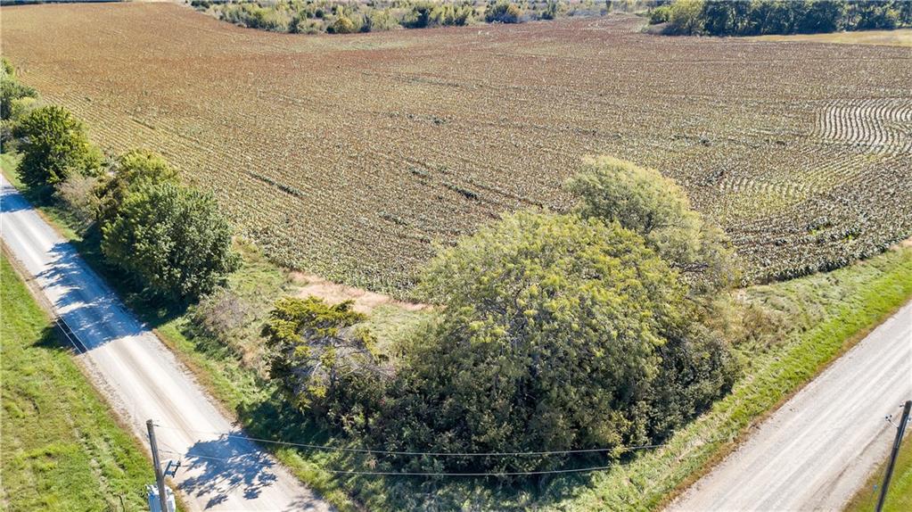 Listing Photo MLS #HMS2581232