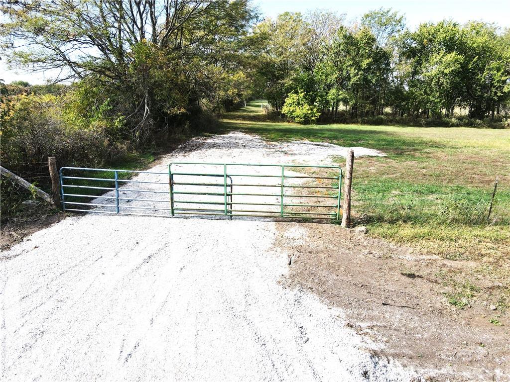 Listing Photo MLS #HMS2581772