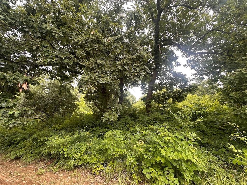 Listing Photo MLS #HMS2582052