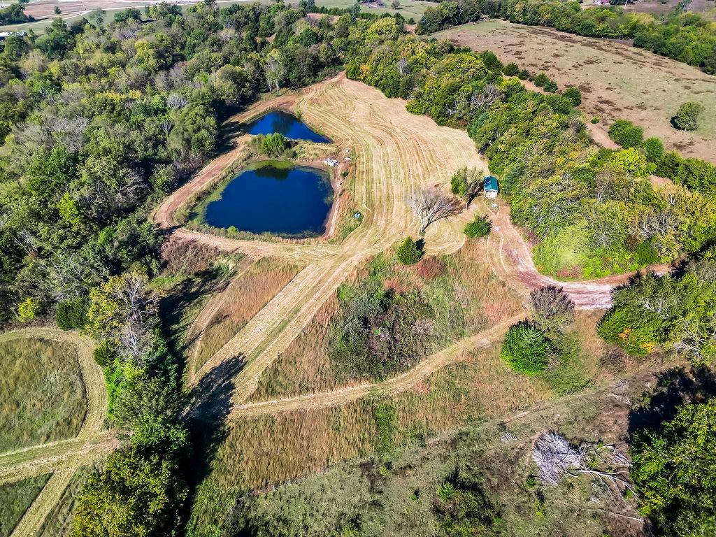 Listing Photo MLS #HMS2582125