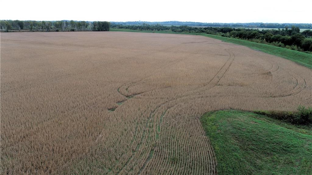 Listing Photo MLS #HMS2582709