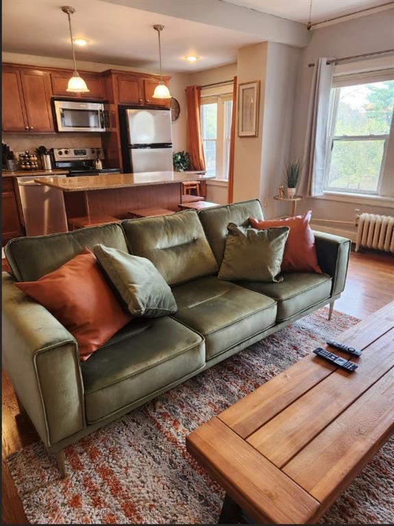 Listing Photo MLS #HMS2582717