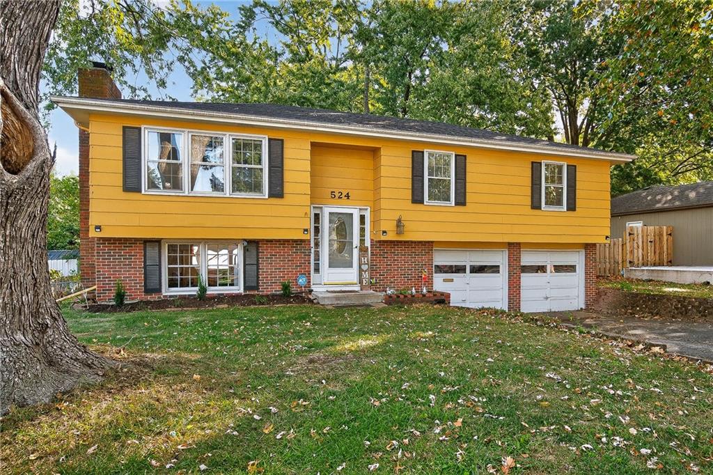 Listing Photo MLS #HMS2582867