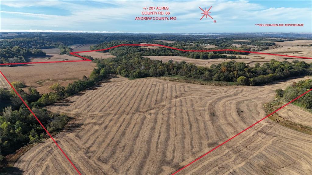 Listing Photo MLS #HMS2582930