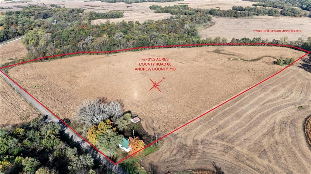 Listing Photo MLS #HMS2582940