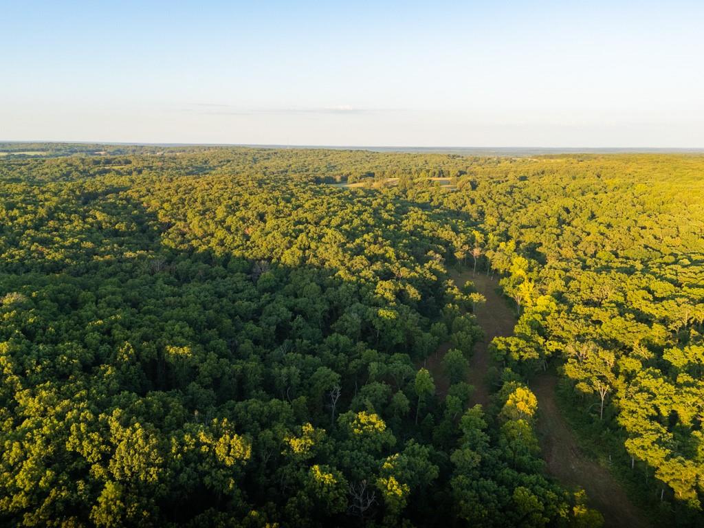 Listing Photo MLS #HMS2583299