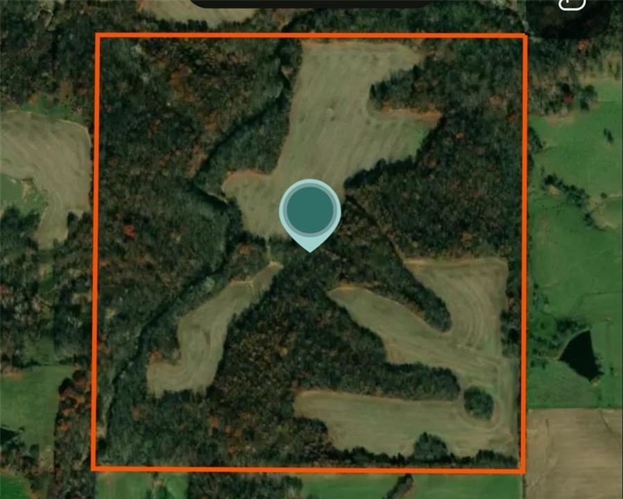 Listing Photo MLS #HMS2583816