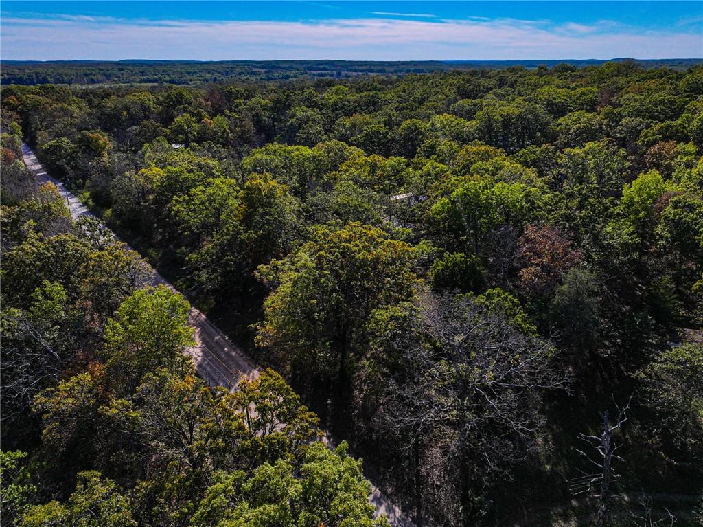 Listing Photo MLS #HMS2583841