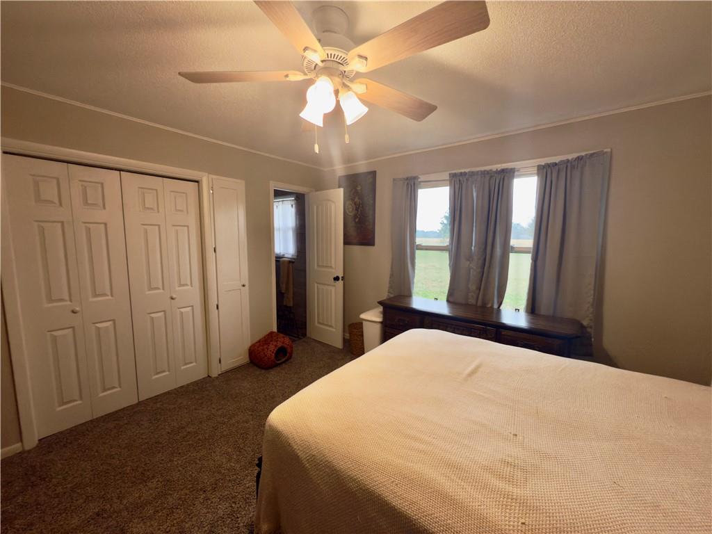 Listing Photo MLS #HMS2584239