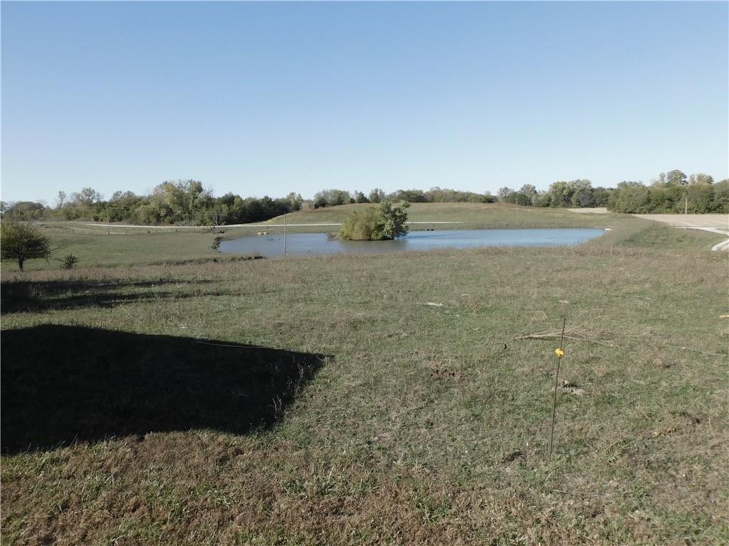 Listing Photo MLS #HMS2584254