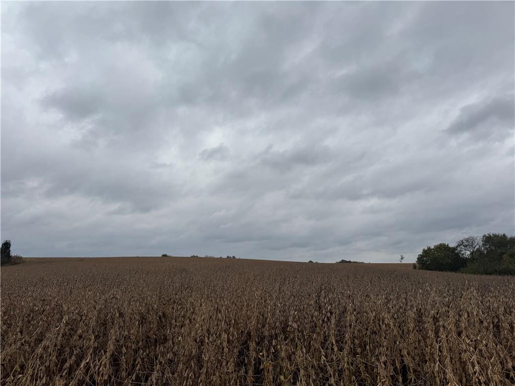 Listing Photo MLS #HMS2584347