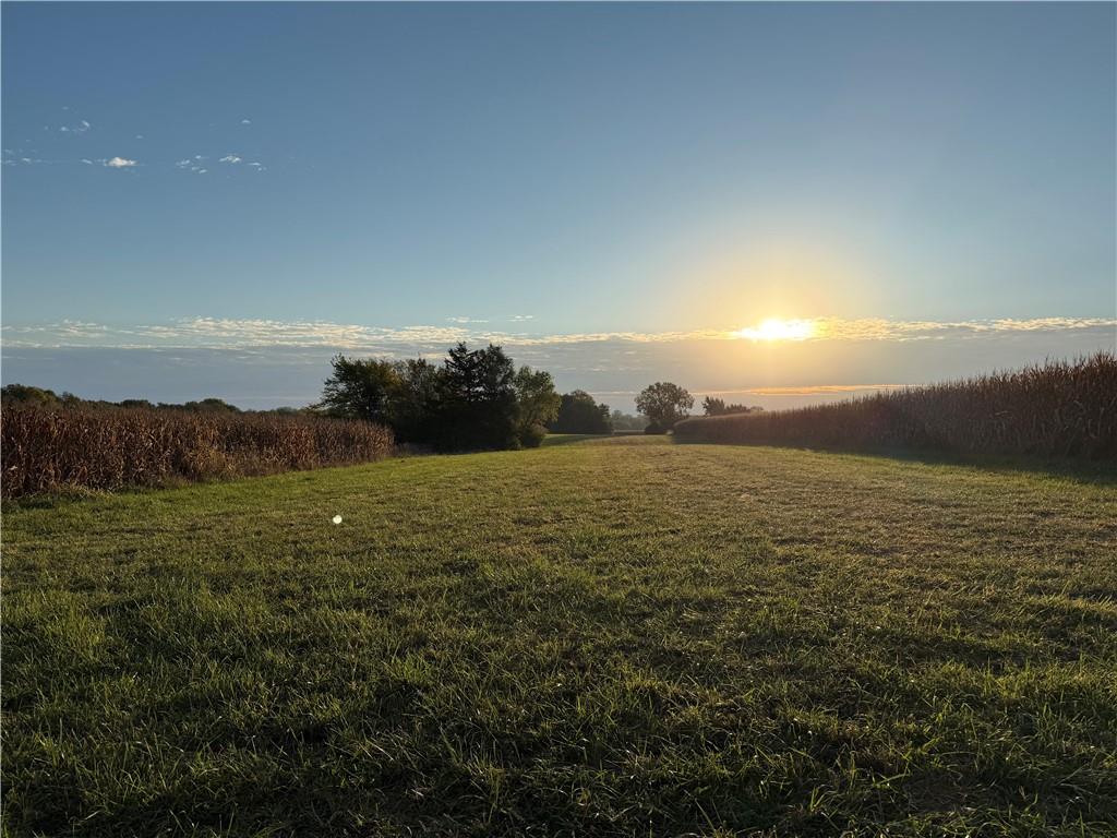 Listing Photo MLS #HMS2584544