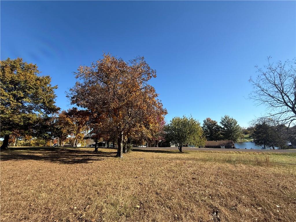 Listing Photo MLS #HMS2585175