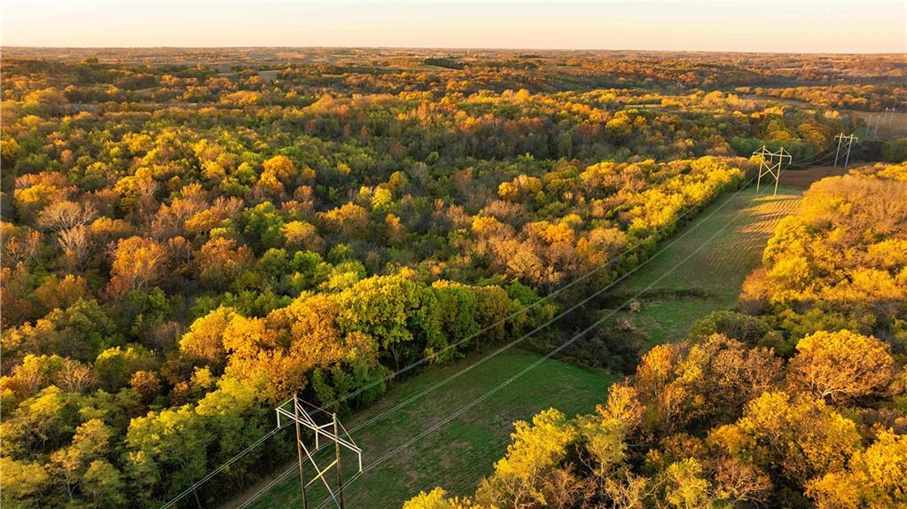 Listing Photo MLS #HMS2586531