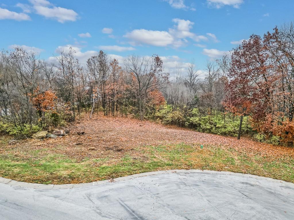 Listing Photo MLS #HMS2587506