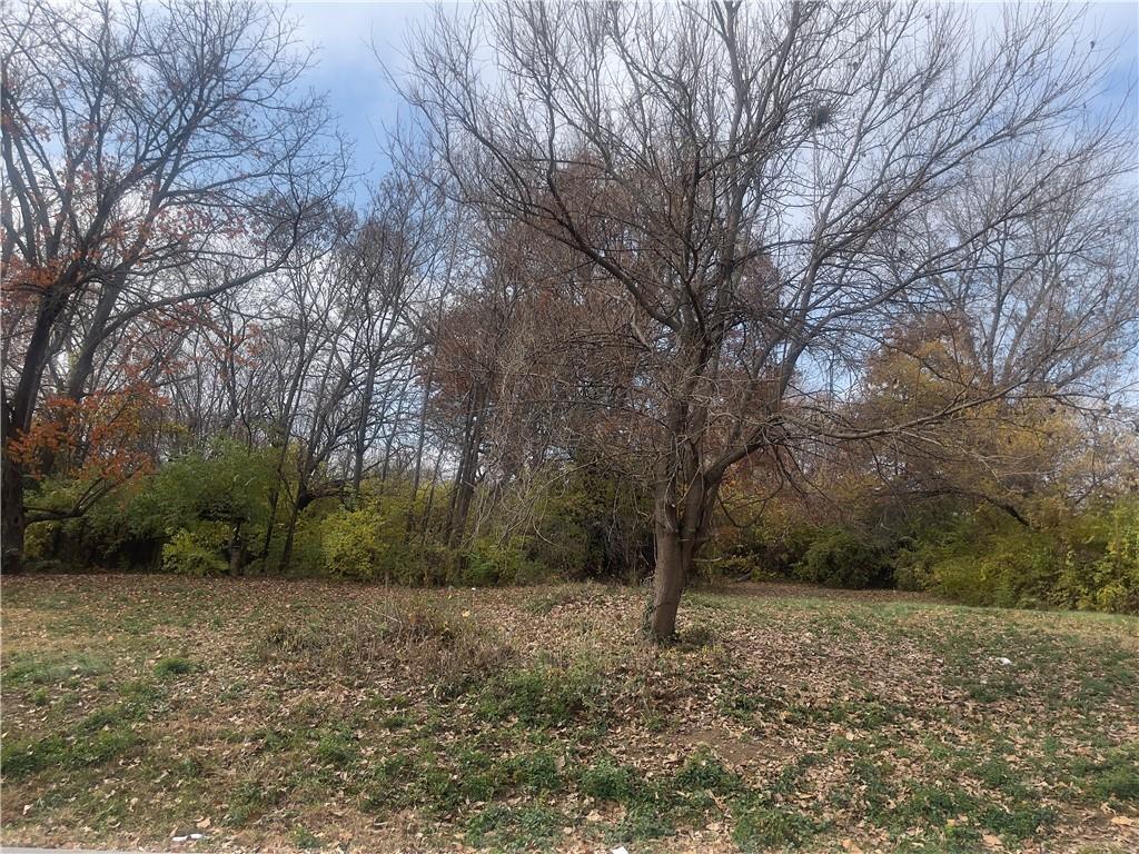 Listing Photo MLS #HMS2588901