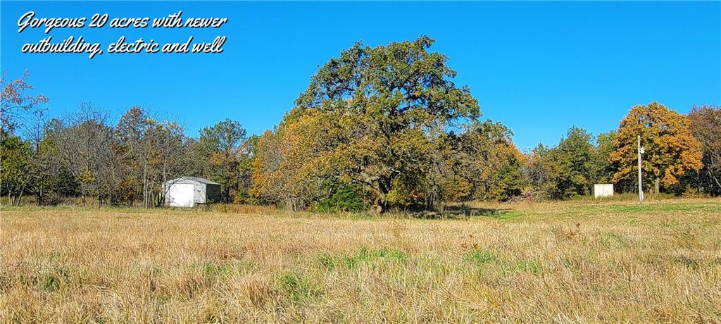 Listing Photo MLS #HMS2588947