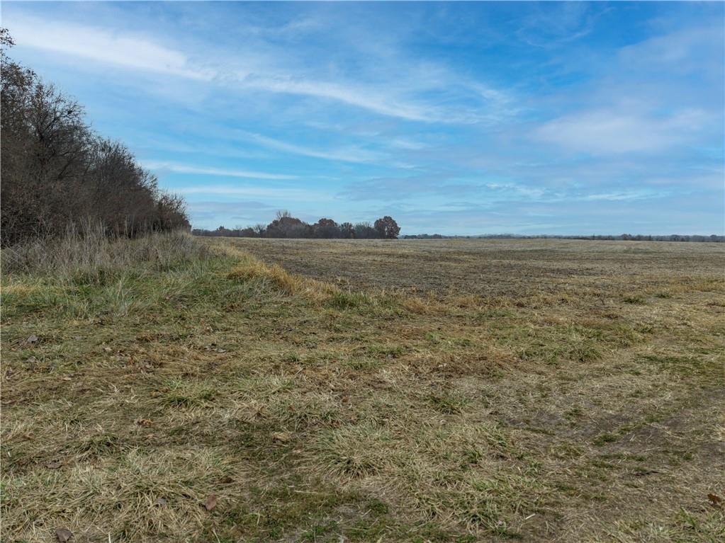 Listing Photo MLS #HMS2589125