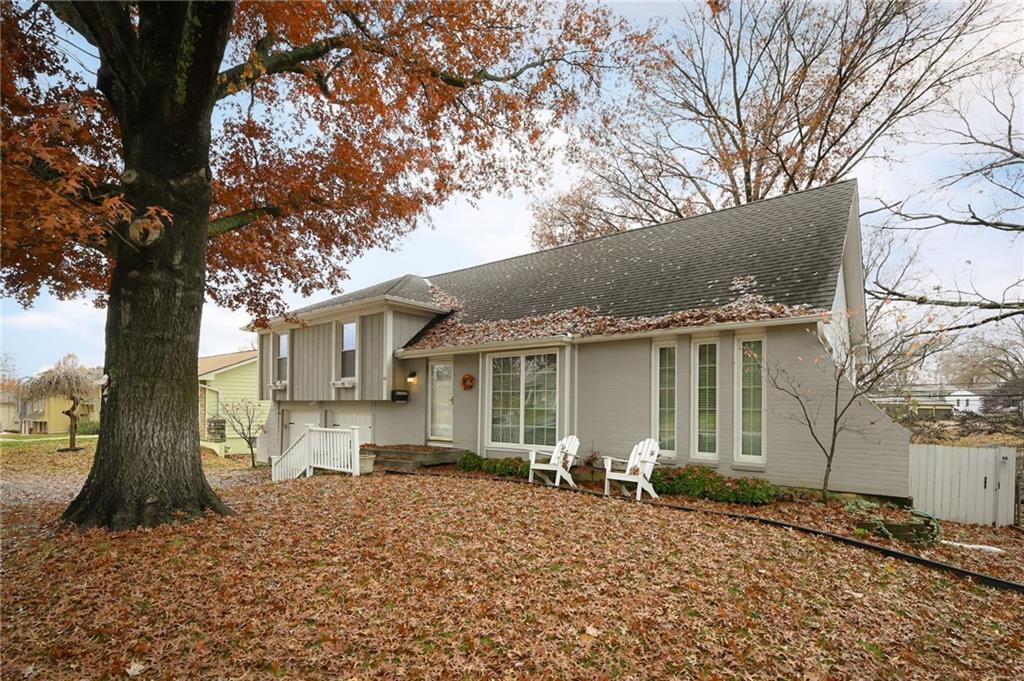 Listing Photo MLS #HMS2589309