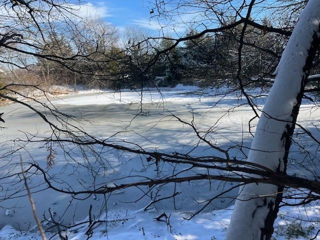 Listing Photo MLS #HMS2589433