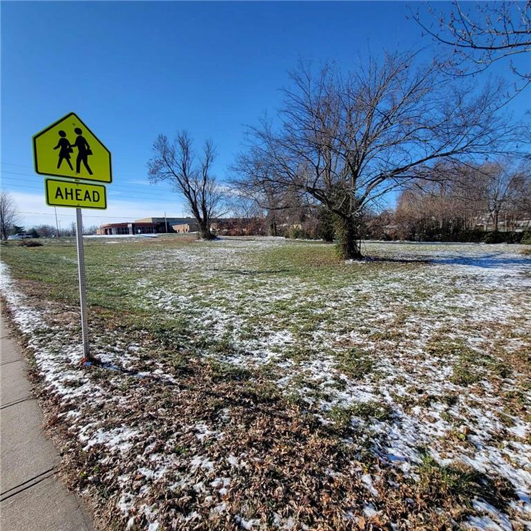 Listing Photo MLS #HMS2589976