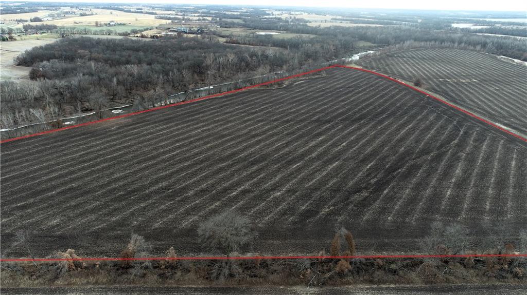 Listing Photo MLS #HMS2591993