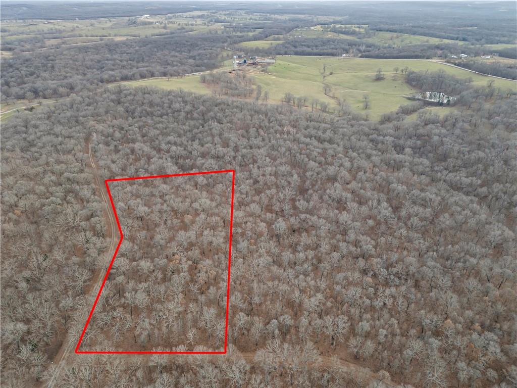 Listing Photo MLS #HMS2593200