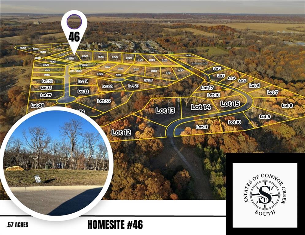 Listing Photo MLS #HMS2593291