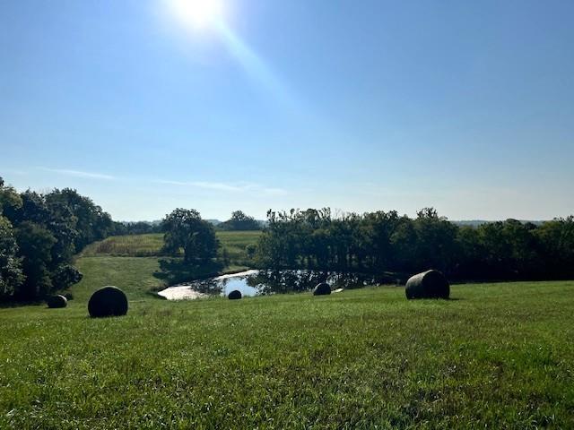 Listing Photo MLS #HMS2594670