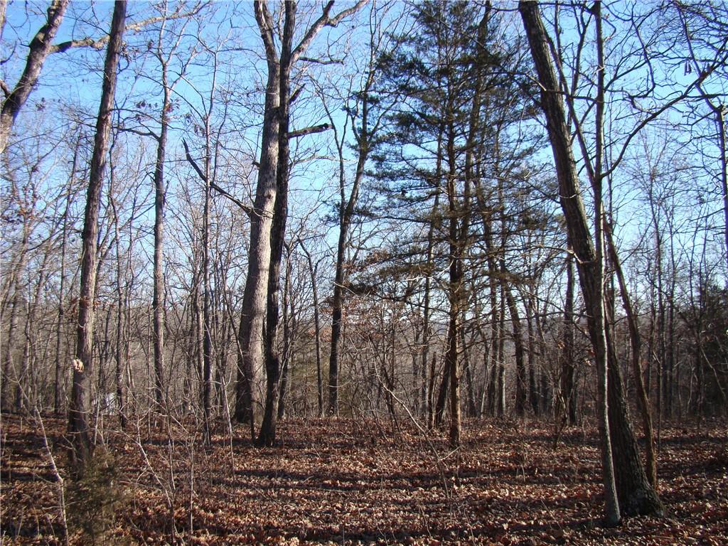 Listing Photo MLS #HMS2595497