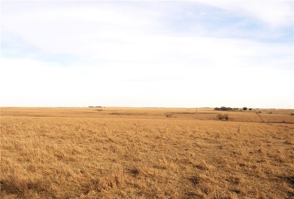 Listing Photo MLS #HMS2595585