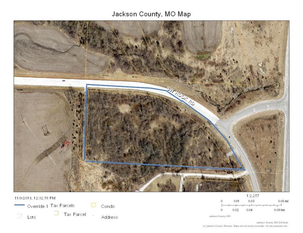 Listing Photo MLS #HMS2595753