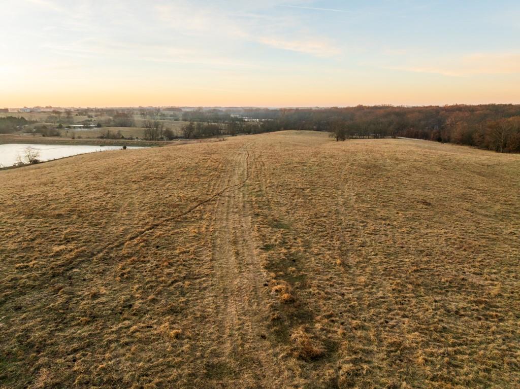 Listing Photo MLS #HMS2596241