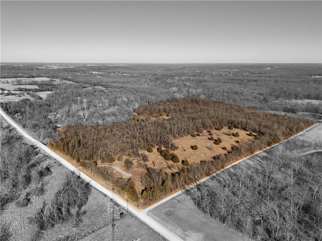 Listing Photo MLS #HMS2597175