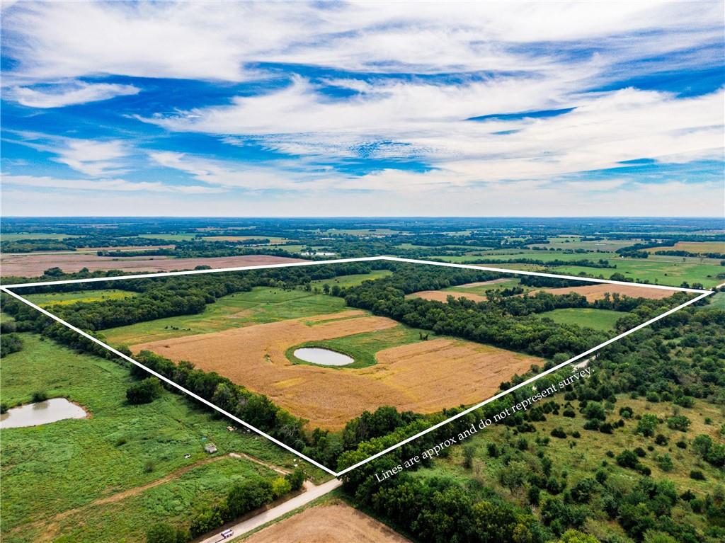 Listing Photo MLS #HMS2597335