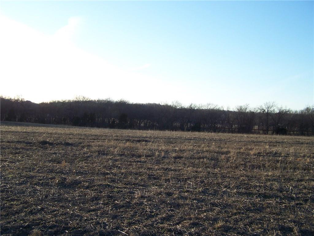 Listing Photo MLS #HMS2597786