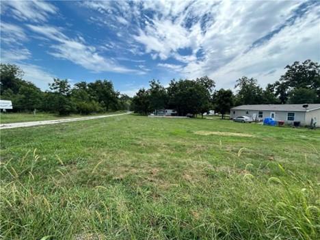 Listing Photo MLS #HMS2597988