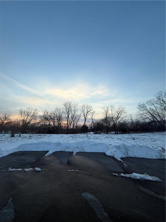 Listing Photo MLS #HMS2598307