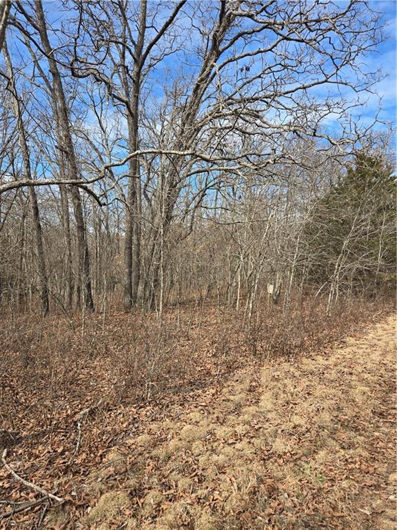 Listing Photo MLS #HMS2600605