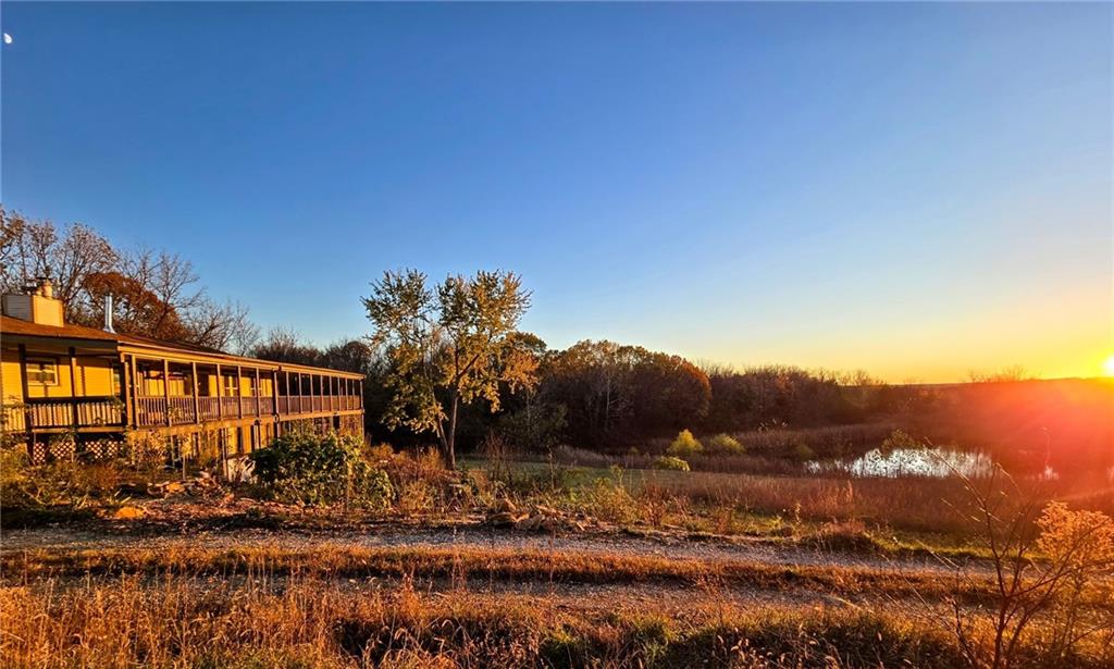 Listing Photo MLS #HMS2601722