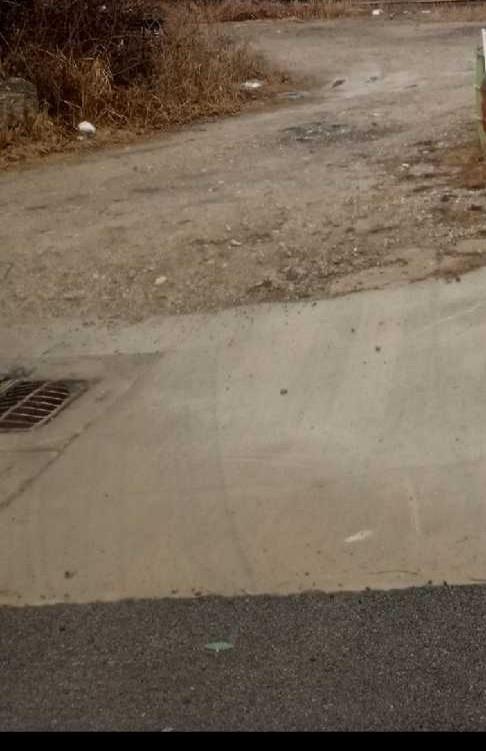 Listing Photo MLS #HMS2601976