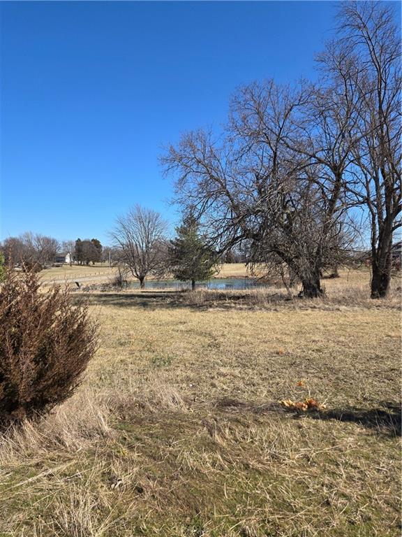 Listing Photo MLS #HMS2602846
