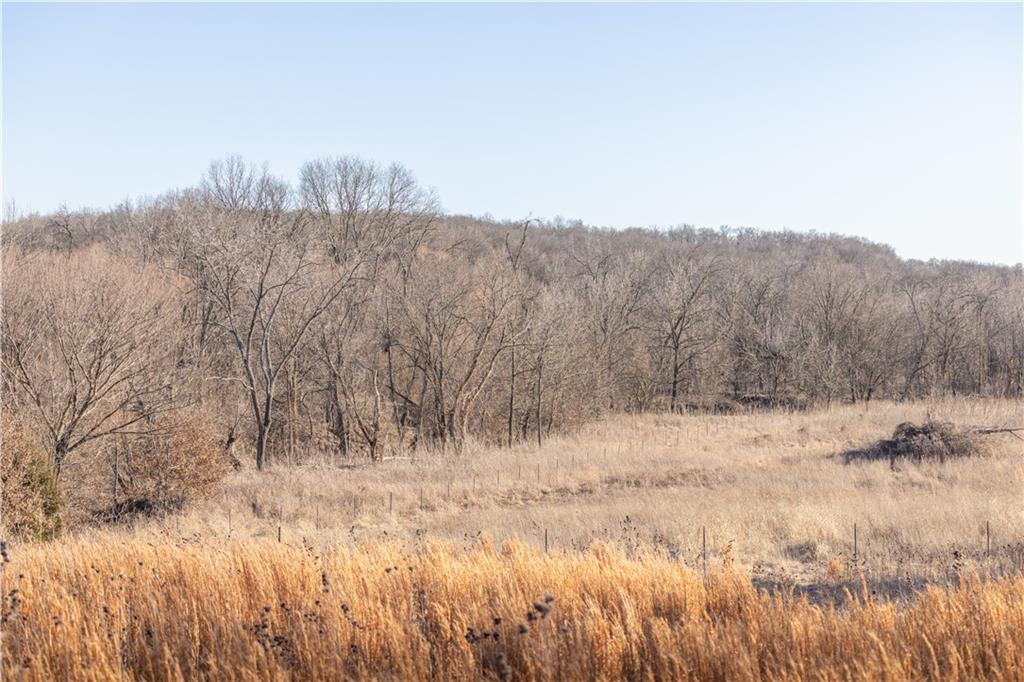 Listing Photo MLS #HMS2603420