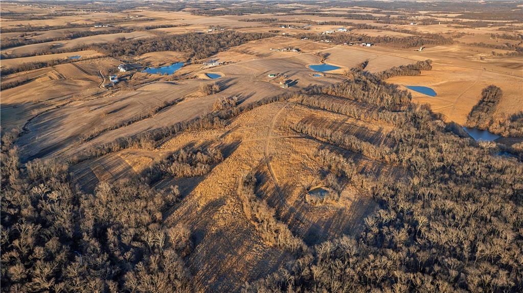 Listing Photo MLS #HMS2603523