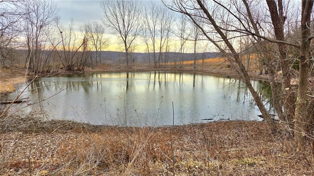 Listing Photo MLS #HMS2604332