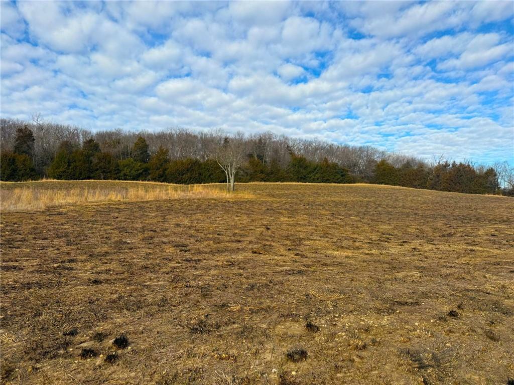 Listing Photo MLS #HMS2605277