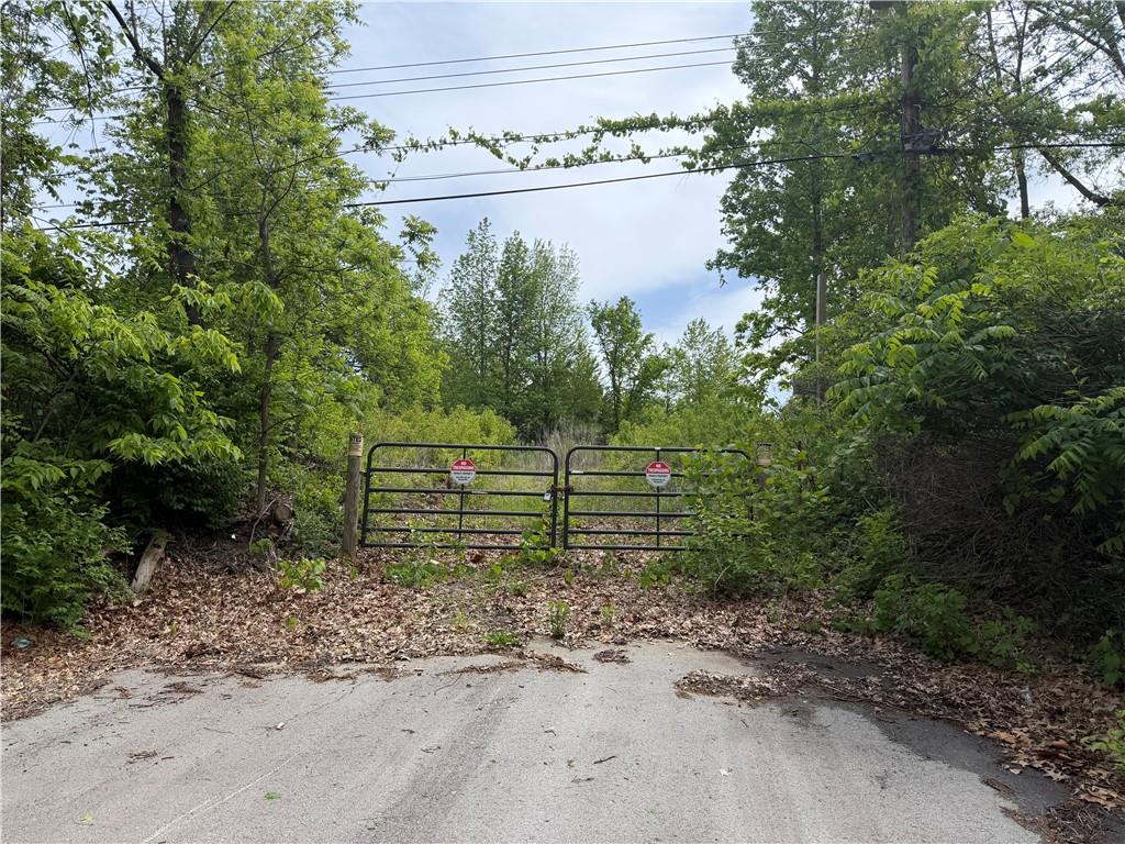 Listing Photo MLS #HMS2605773